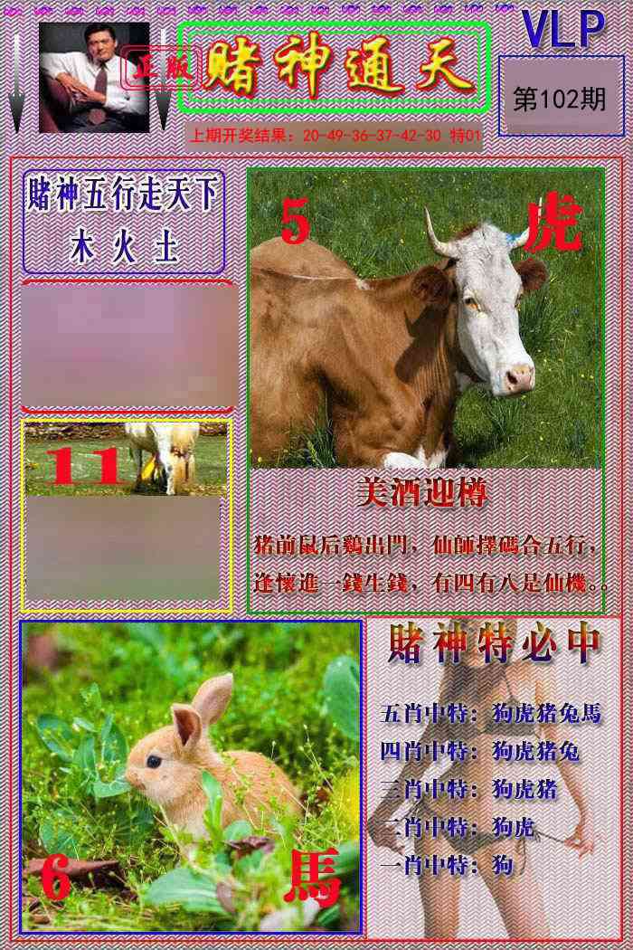 2025102期赌神通天报