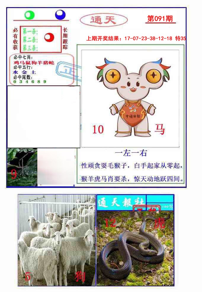 2025091期通天杀波图2
