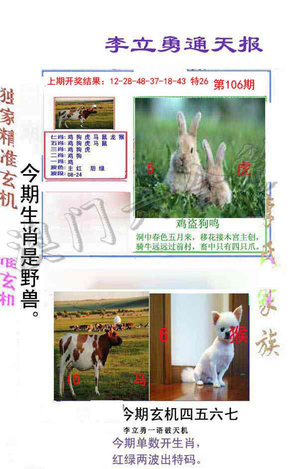 2025106期李立勇通天报