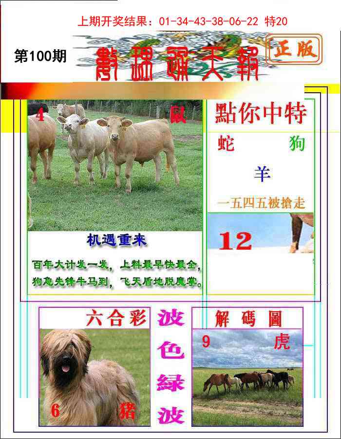 2025100期数理通天