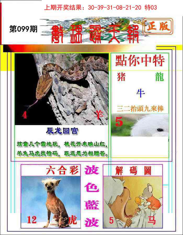 2025099期数理通天