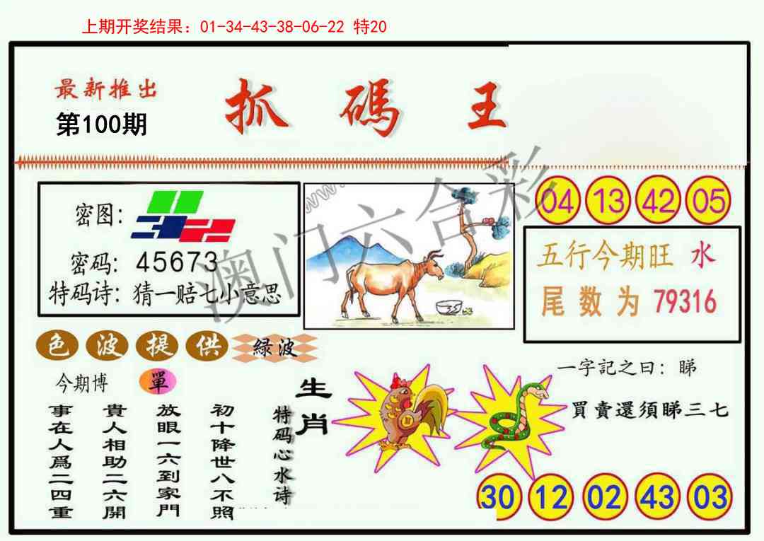 2025100期抓码王