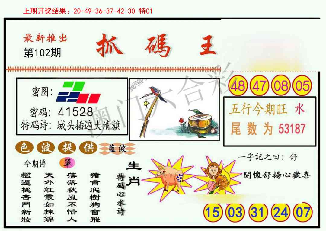 2025102期抓码王