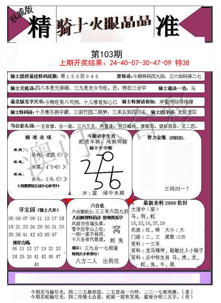 2025103期骑士火眼晶晶a