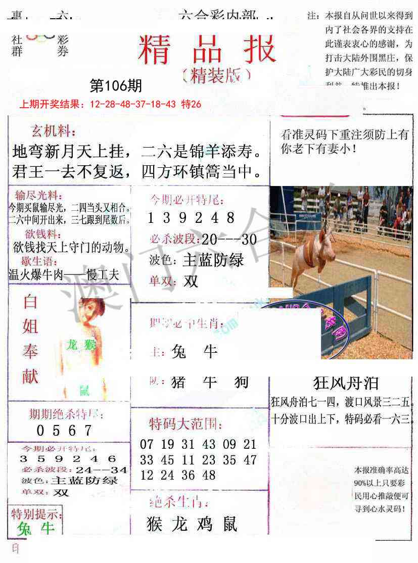2025106期摇钱树