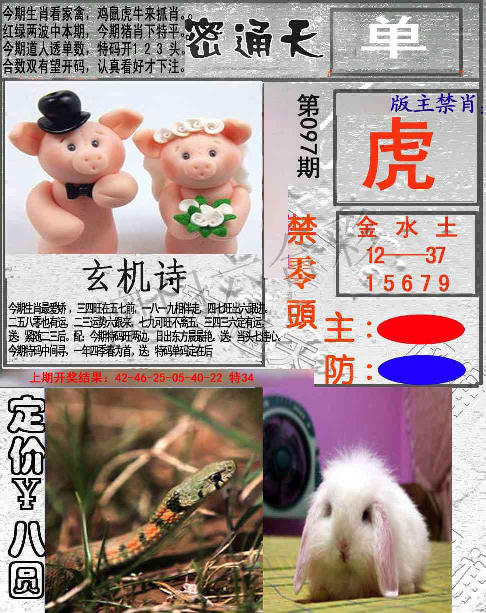 2025097期密通天