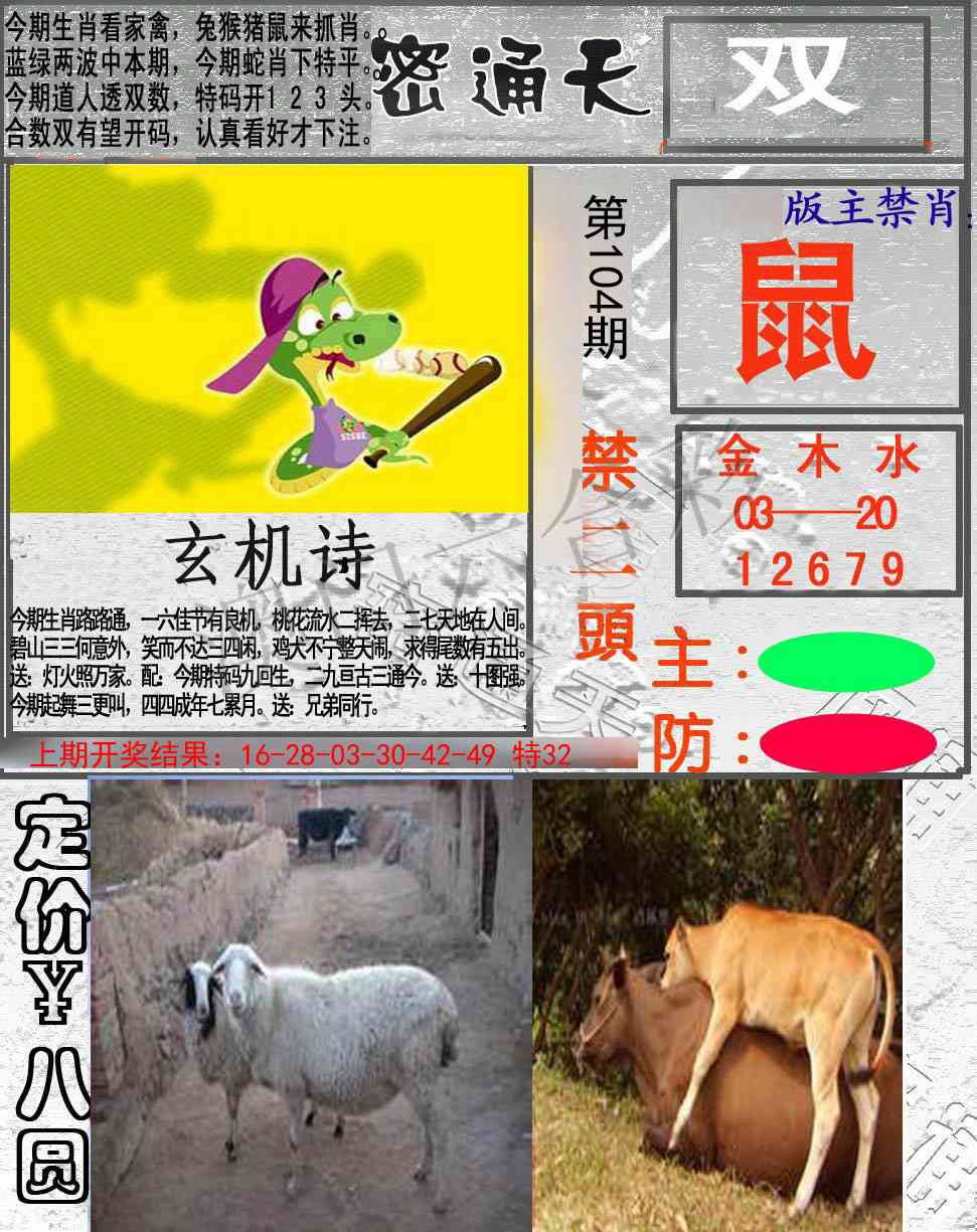 2025104期密通天