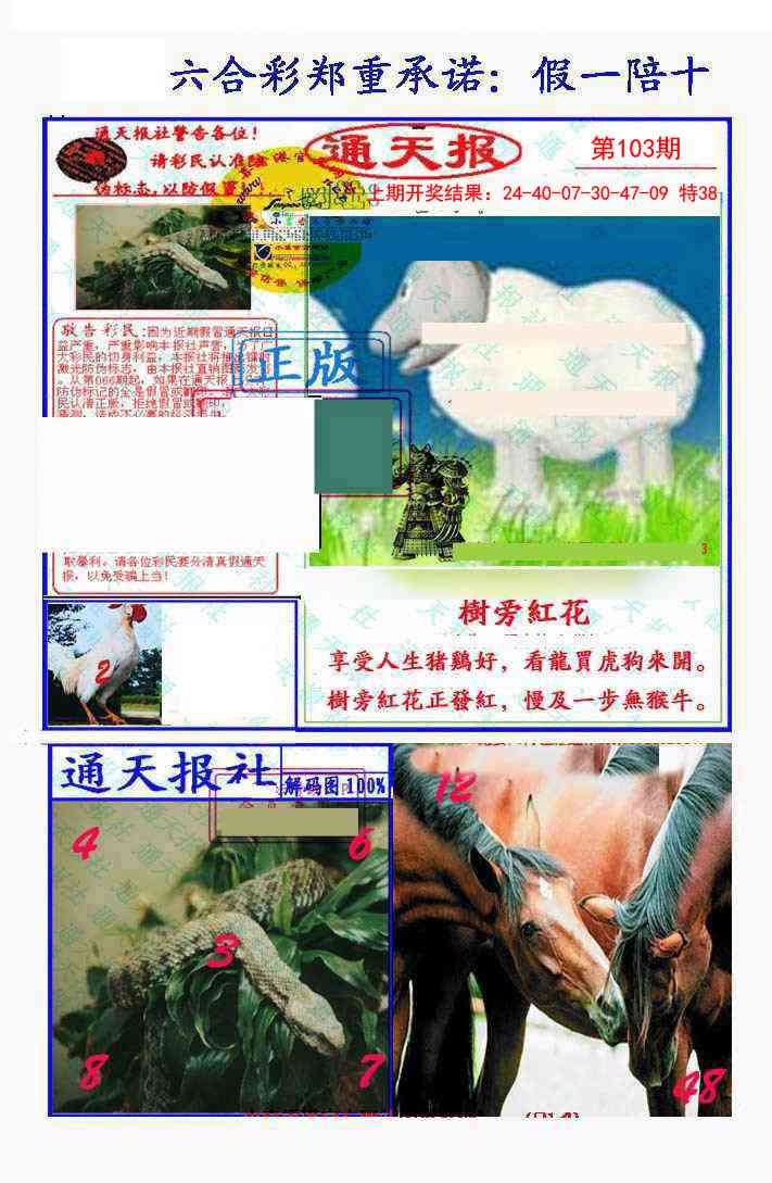 2025103期假一陪十通天报