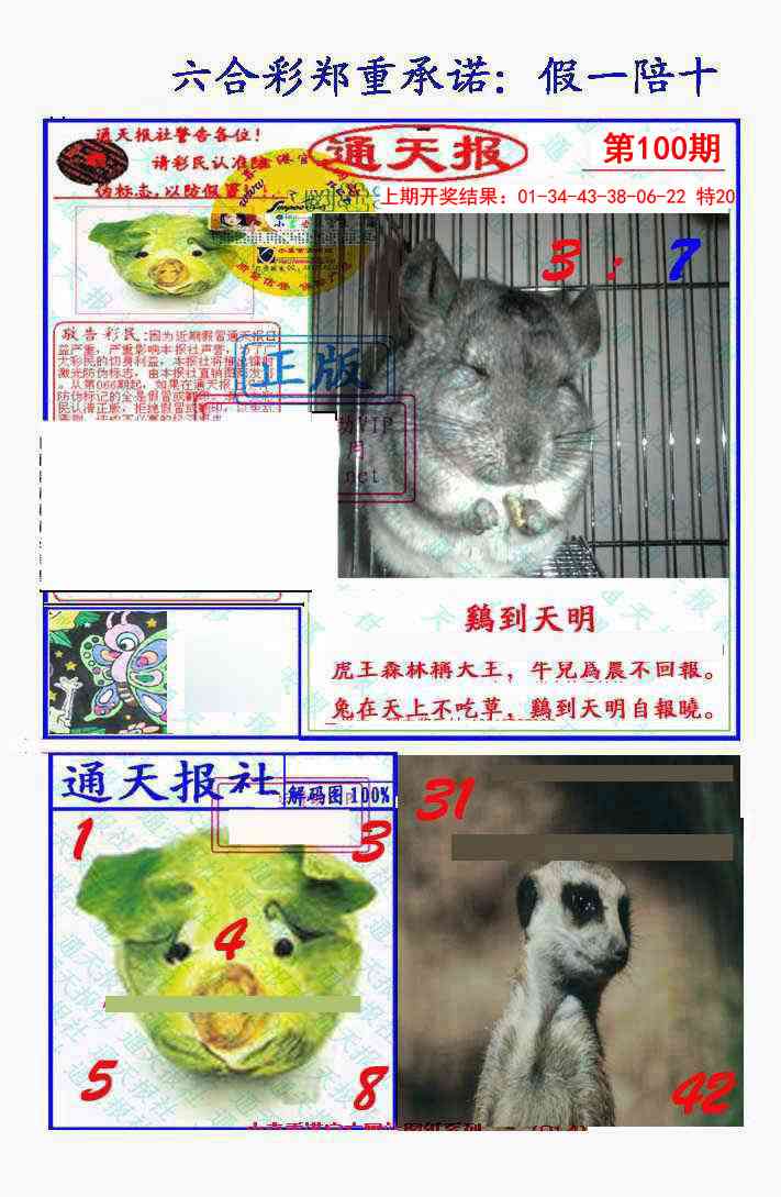 2025100期假一陪十通天报