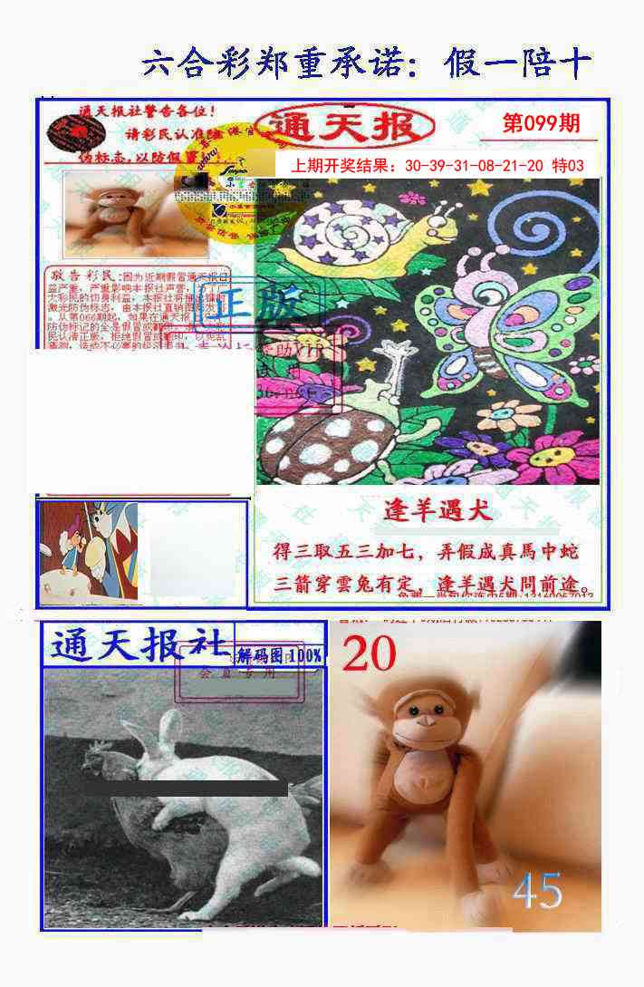 2025099期假一陪十通天报