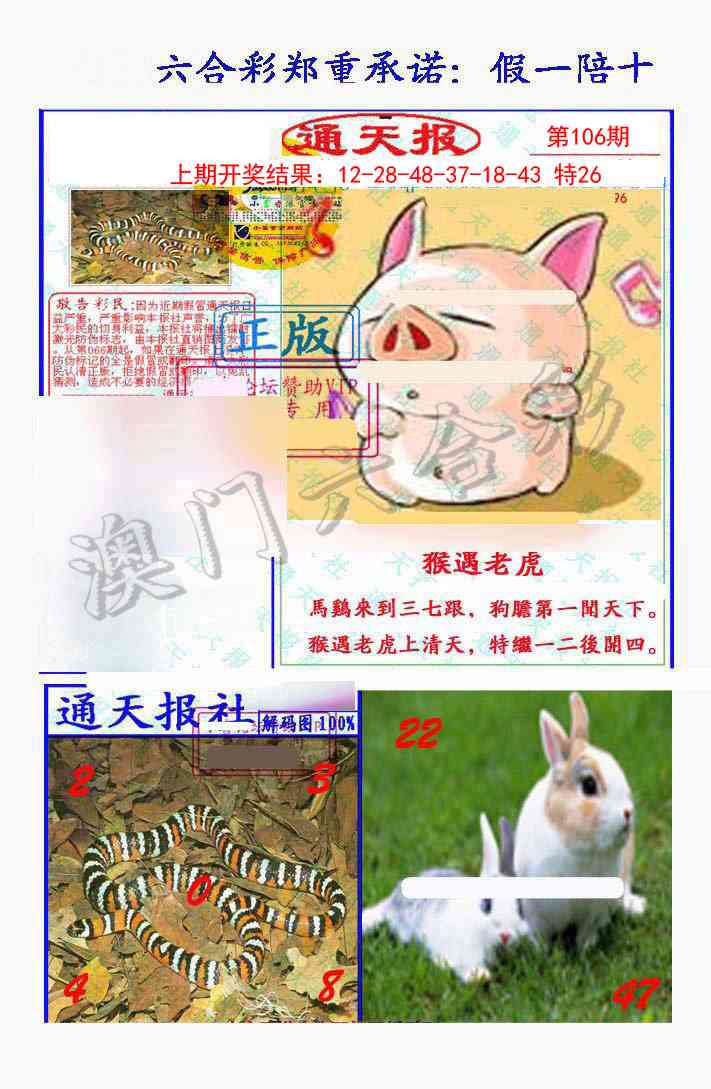 2025106期假一陪十通天报