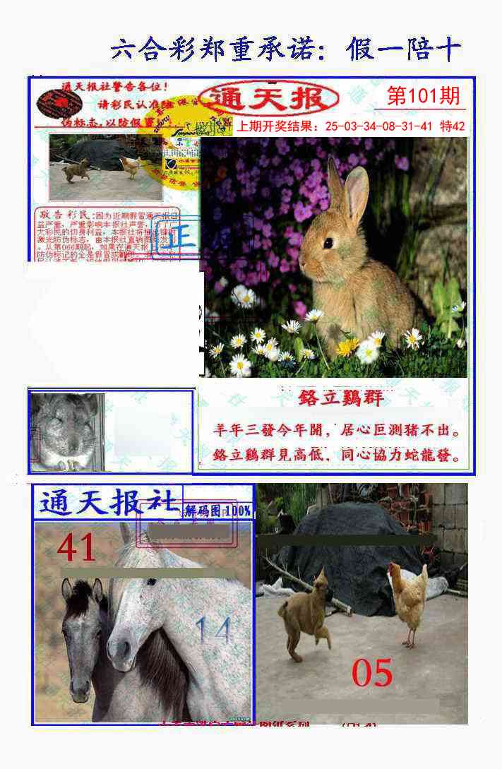 2025101期假一陪十通天报