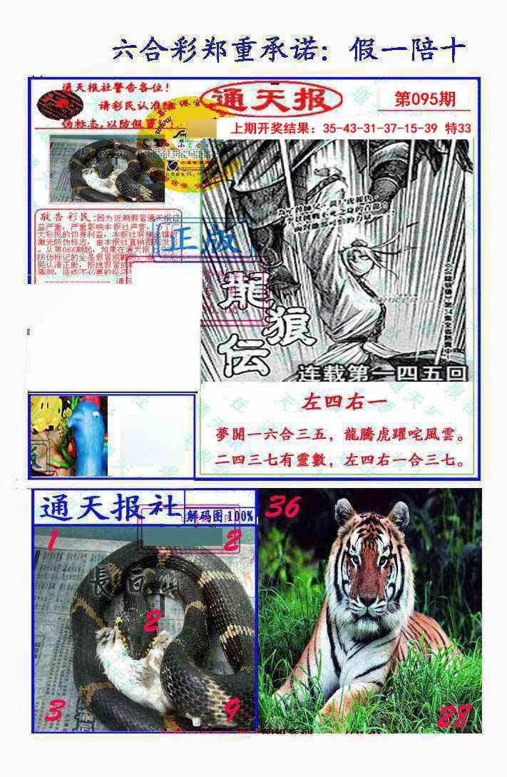 2025095期假一陪十通天报