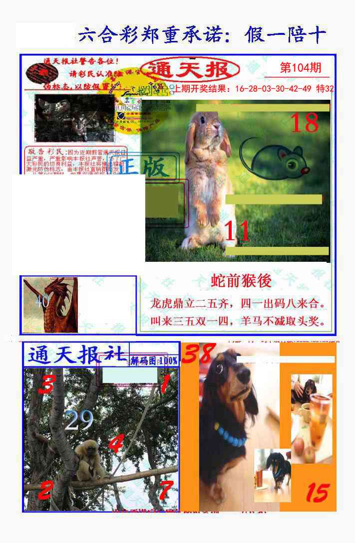 2025104期假一陪十通天报