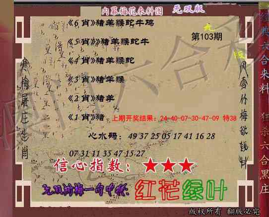 2025103期独家梅花来料