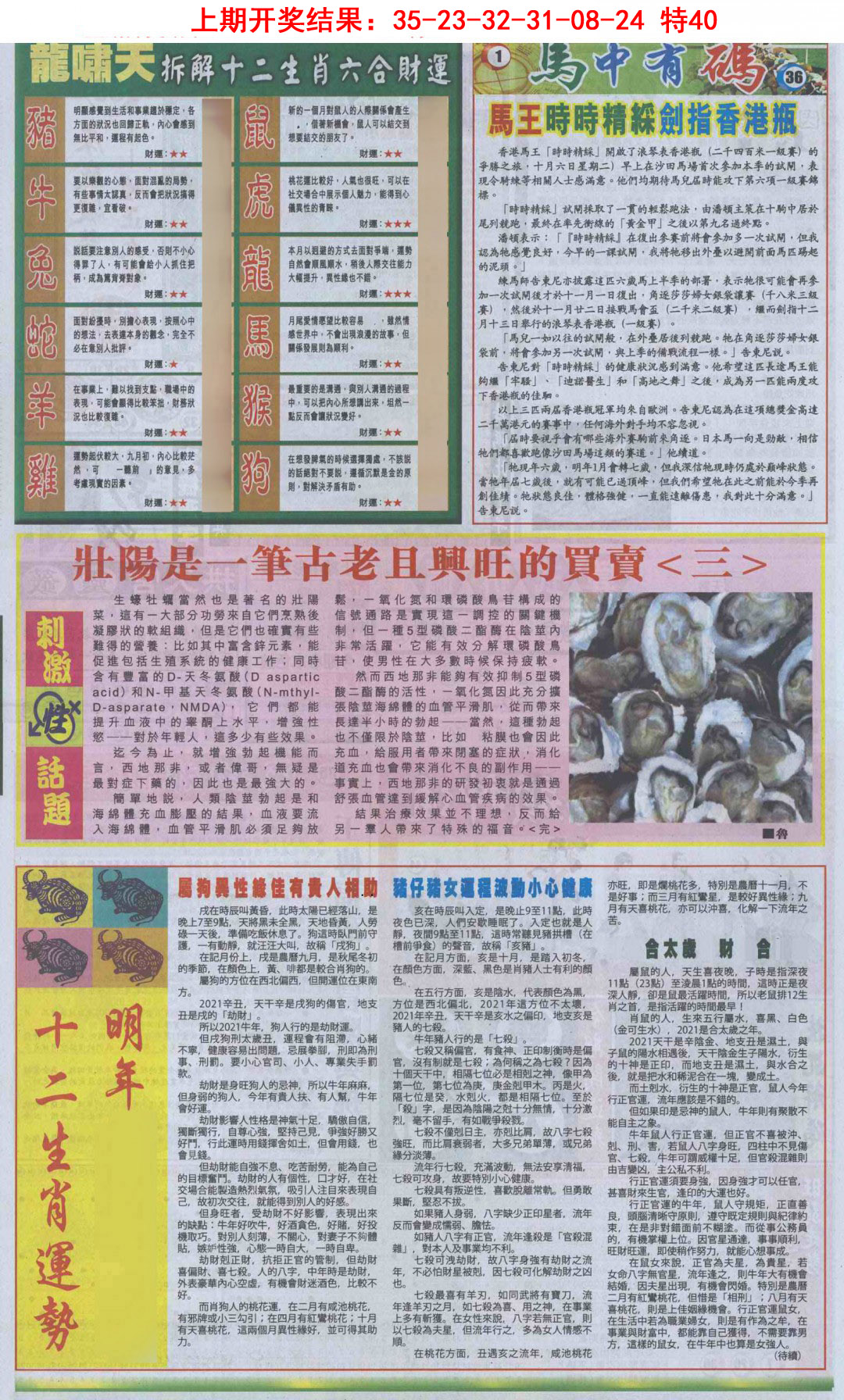 2025092期新报跑狗B