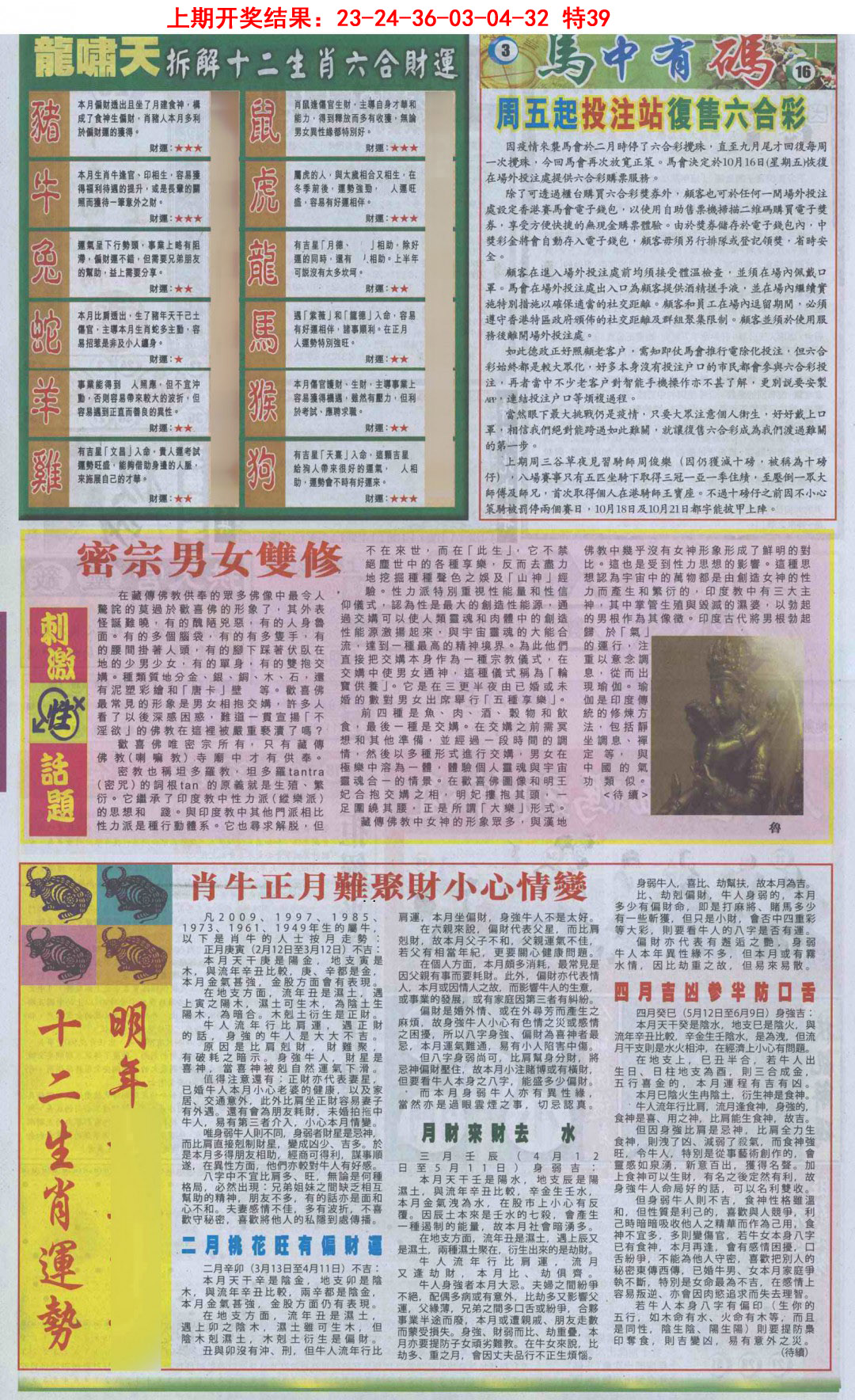 2025093期新报跑狗B