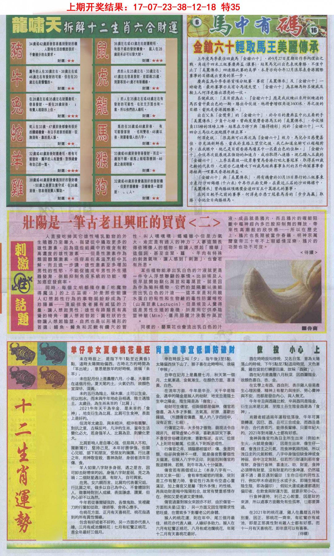 2025091期新报跑狗B