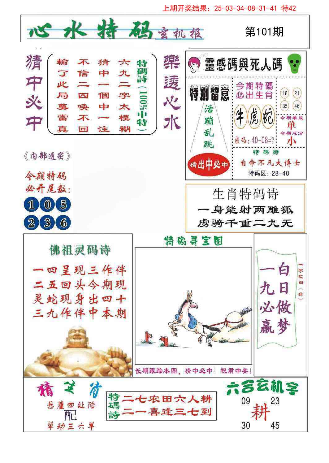 2025101期心水特码