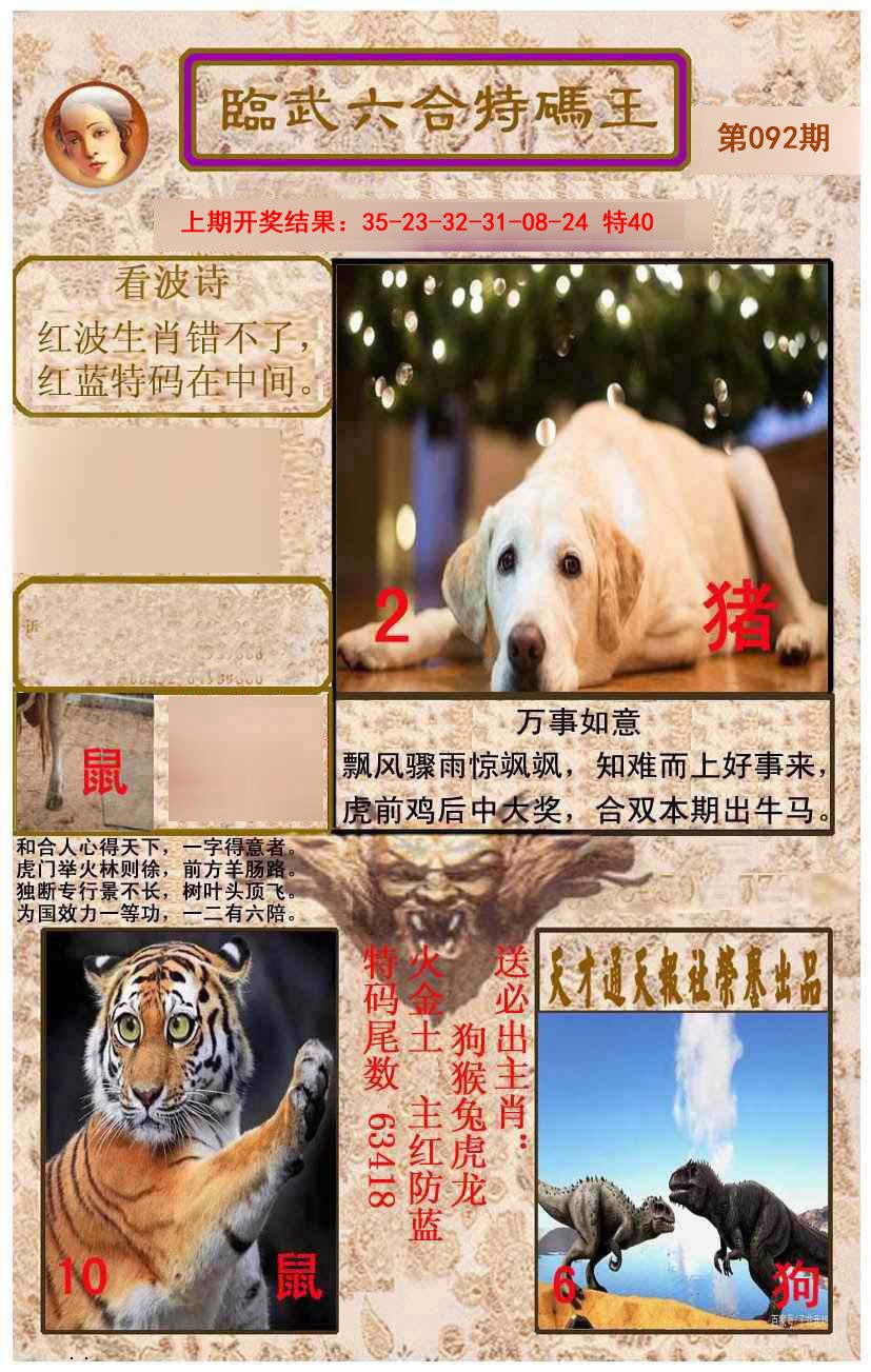 2025092期临武六合特码王