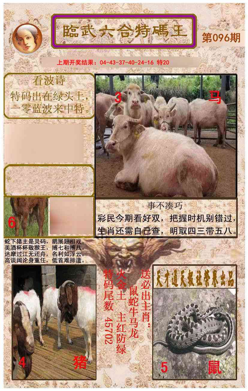 2025096期临武六合特码王