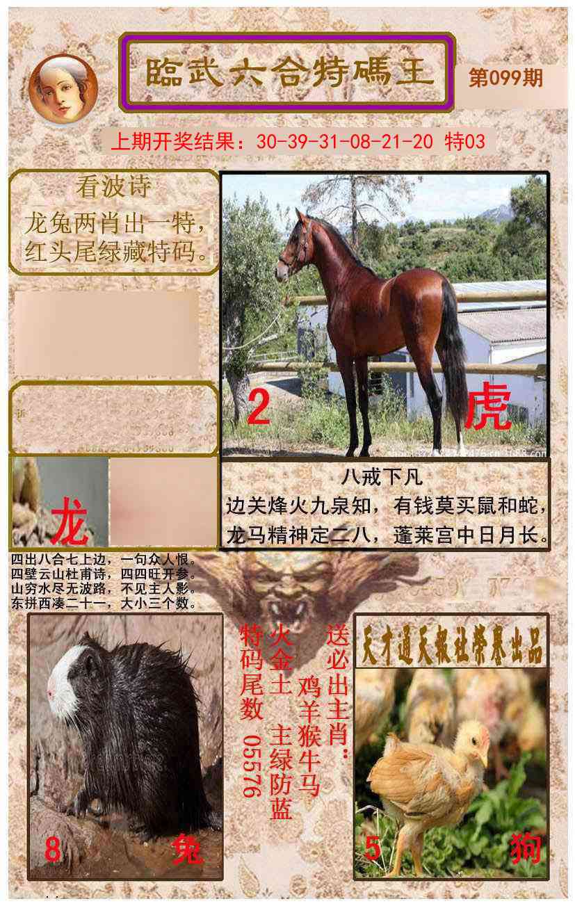 2025099期临武六合特码王