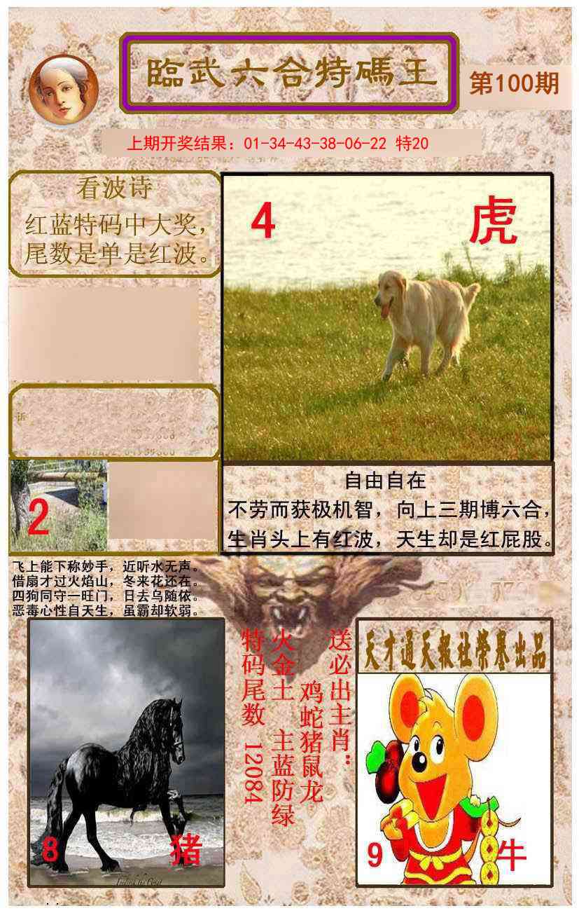2025100期临武六合特码王