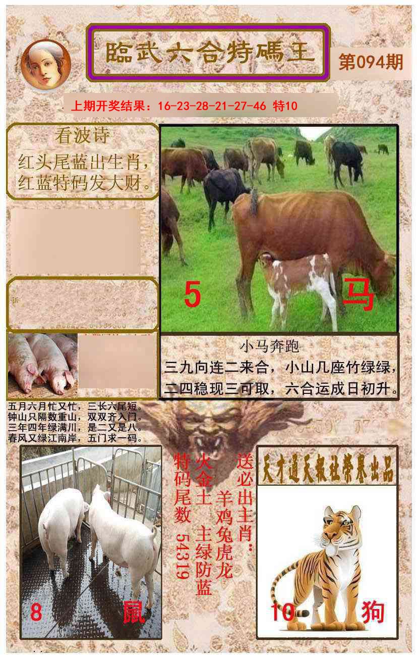 2025094期临武六合特码王