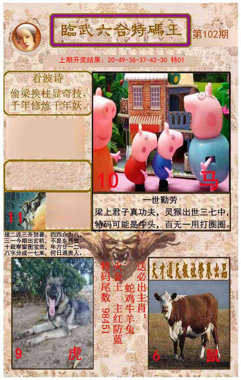 2025102期临武六合特码王