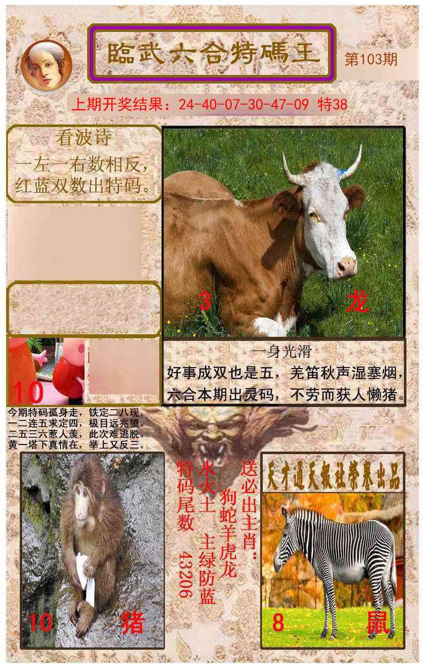 2025103期临武六合特码王