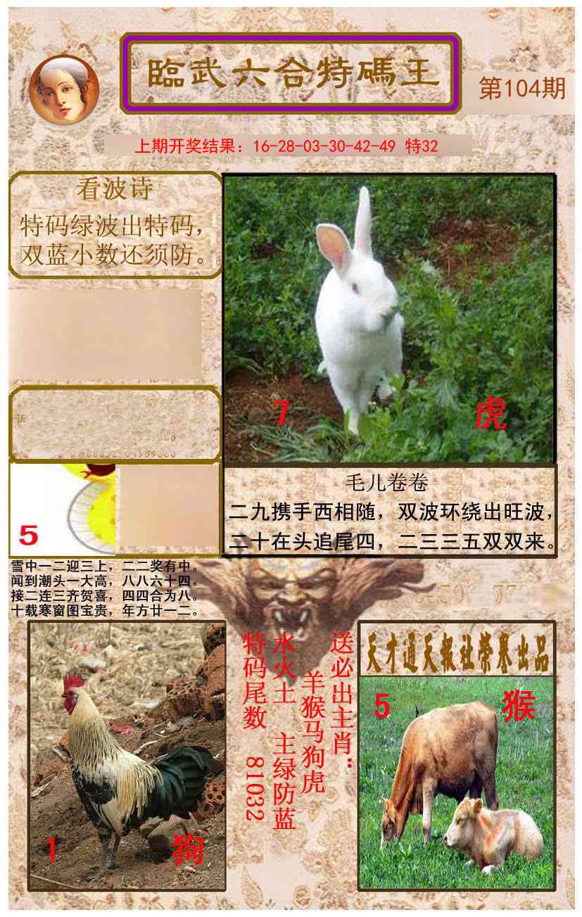 2025104期临武六合特码王