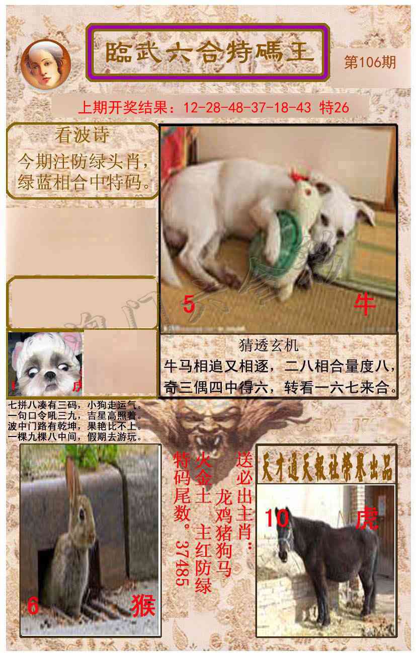 2025106期临武六合特码王