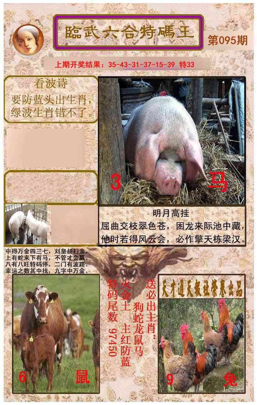 2025095期临武六合特码王