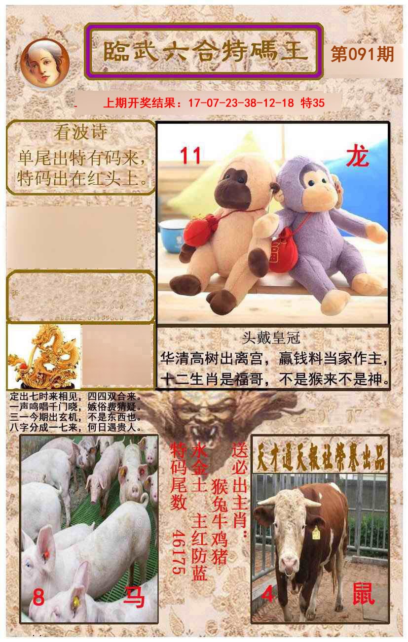 2025091期临武六合特码王