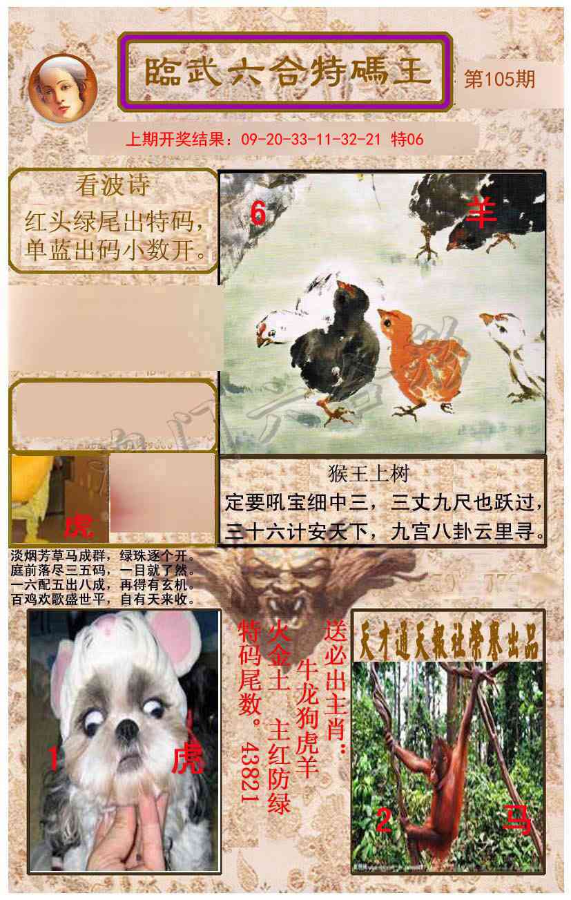2025105期临武六合特码王