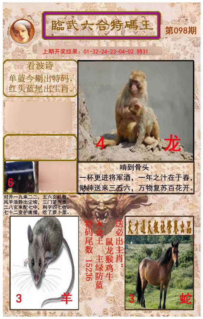 2025098期临武六合特码王