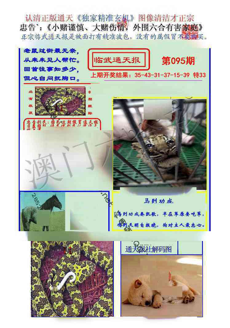 2025095期临武通天报