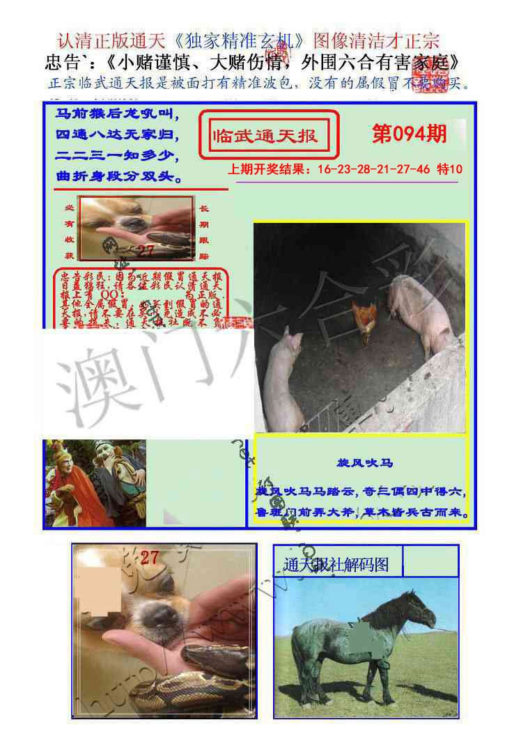 2025094期临武通天报