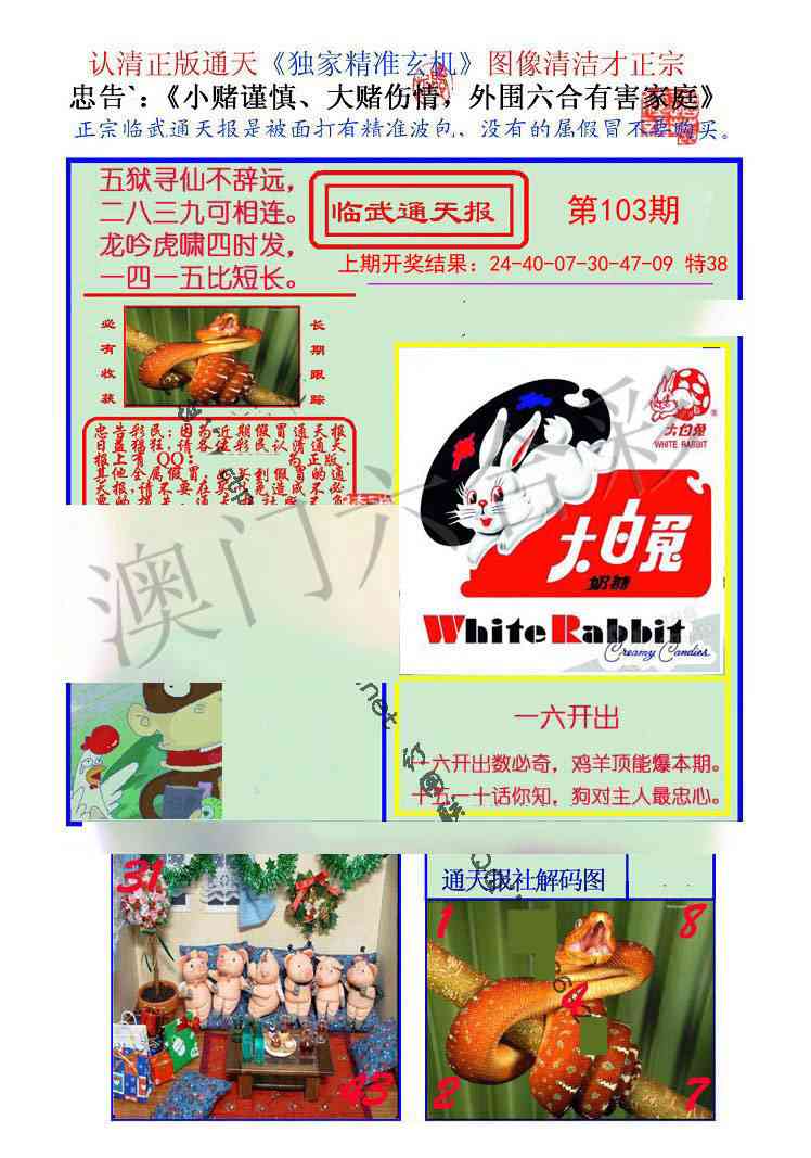 2025103期临武通天报