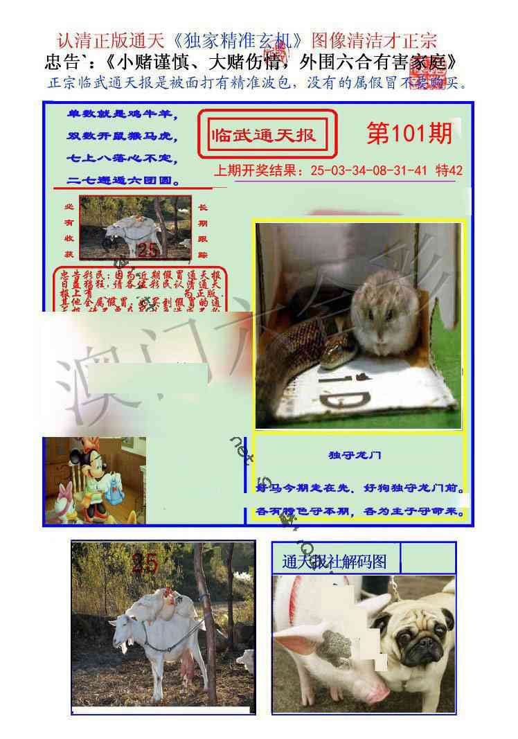 2025101期临武通天报