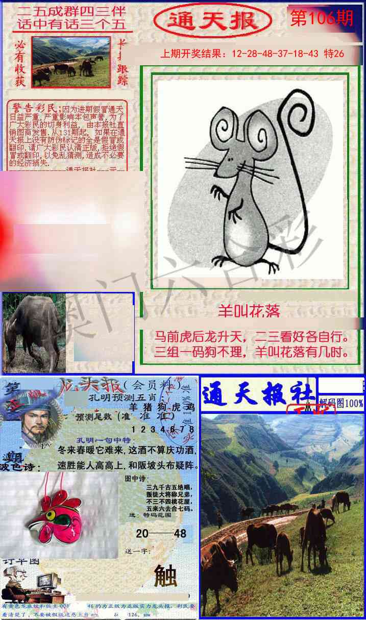 2025106期实力通天报