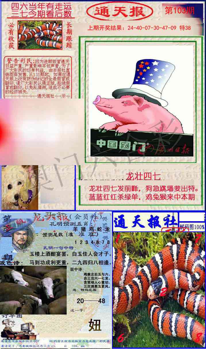 2025103期实力通天报