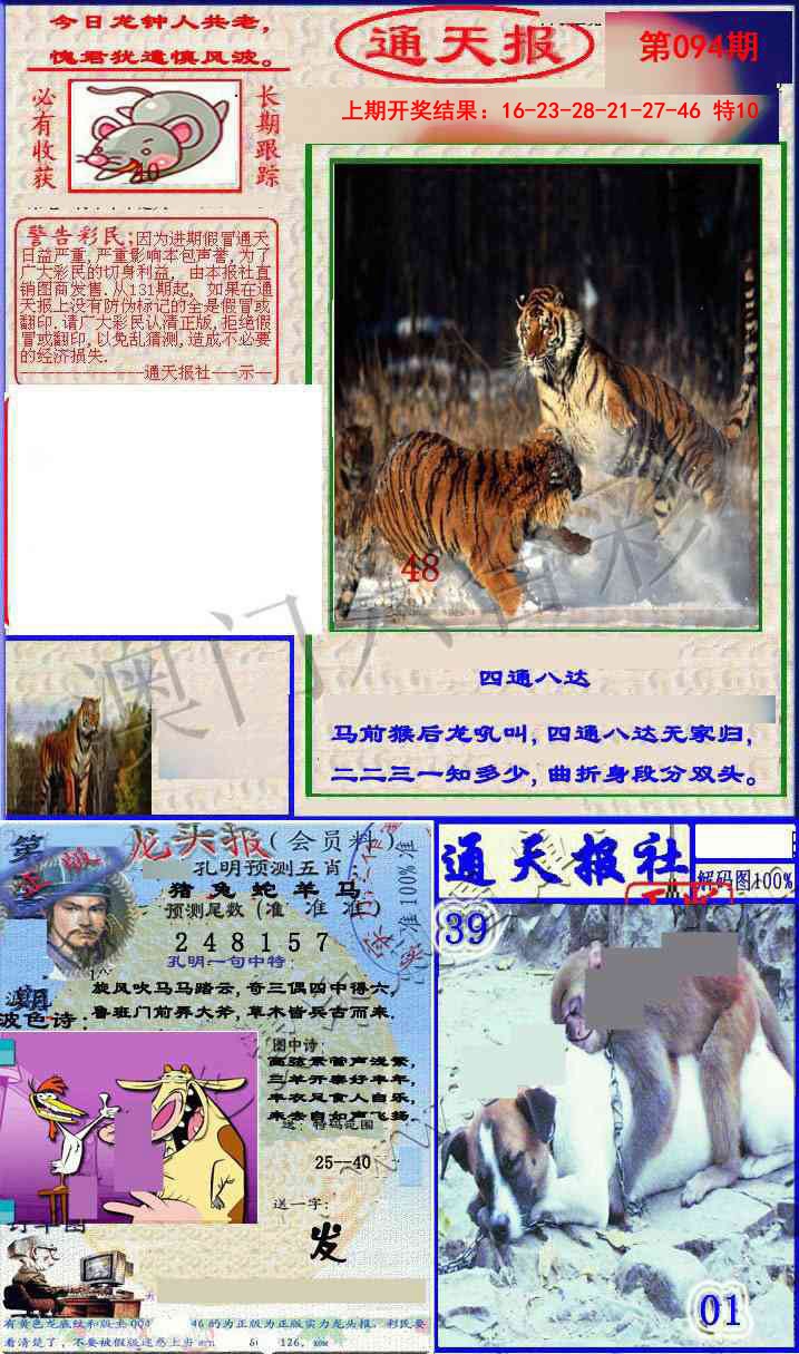 2025094期实力通天报
