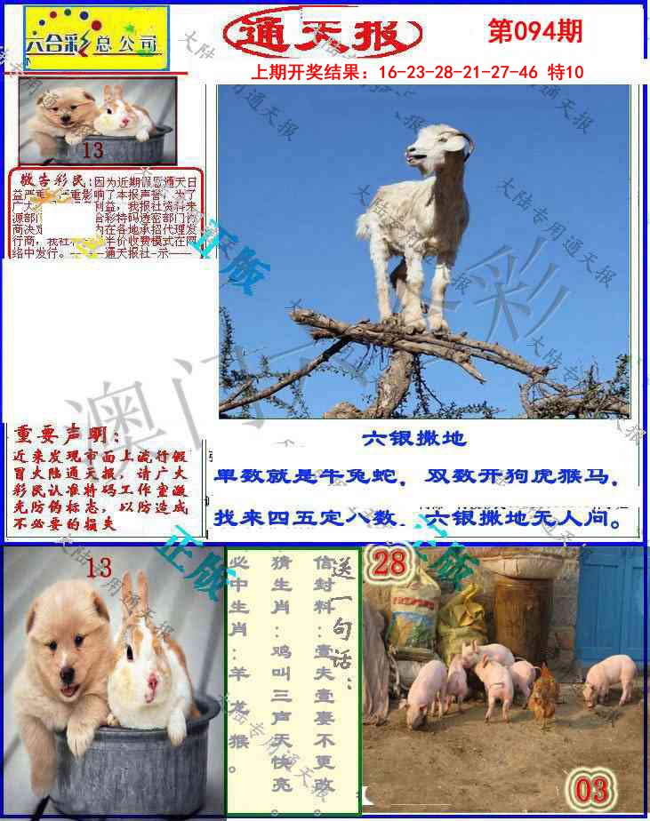 2025094期大陆通天报
