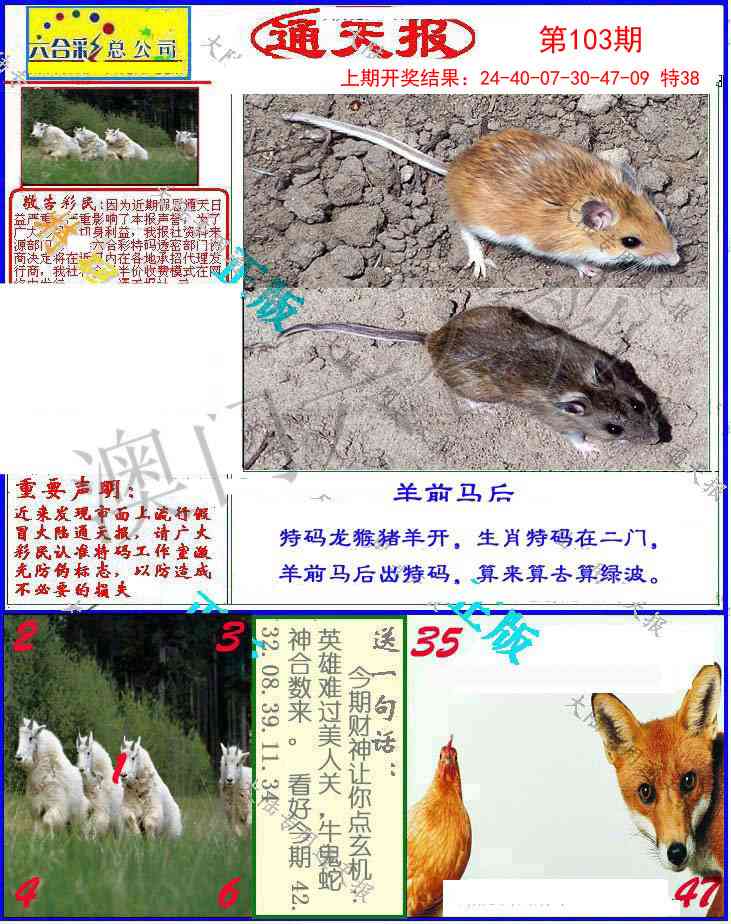 2025103期大陆通天报