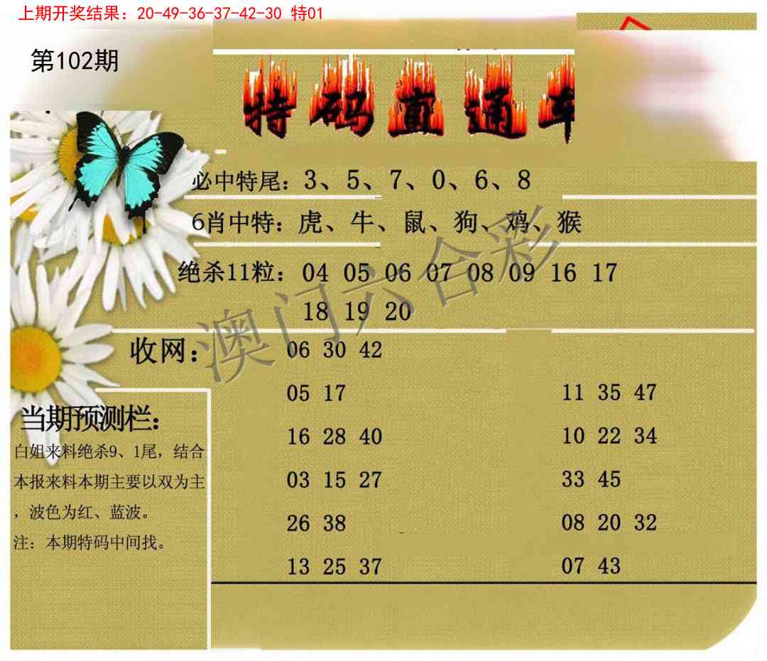 2025102期特码直通车