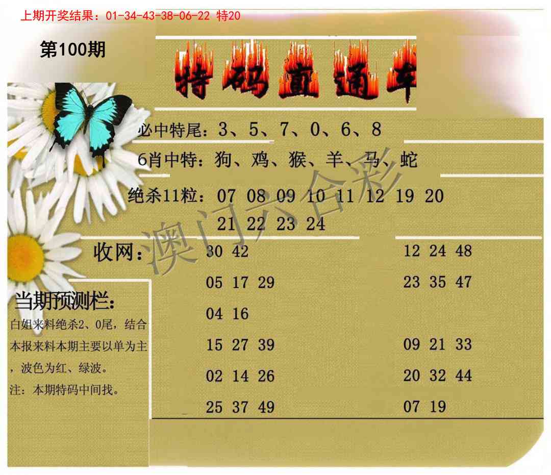 2025100期特码直通车