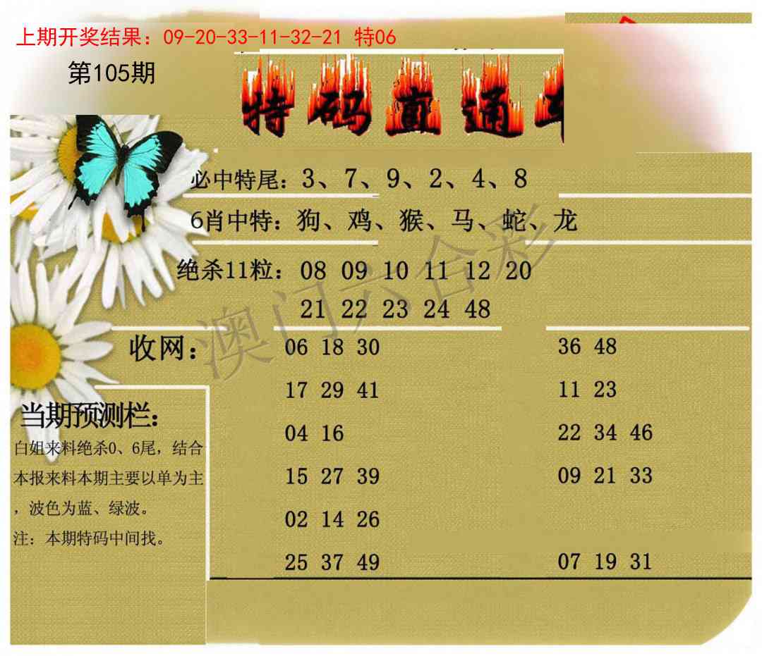 2025105期特码直通车