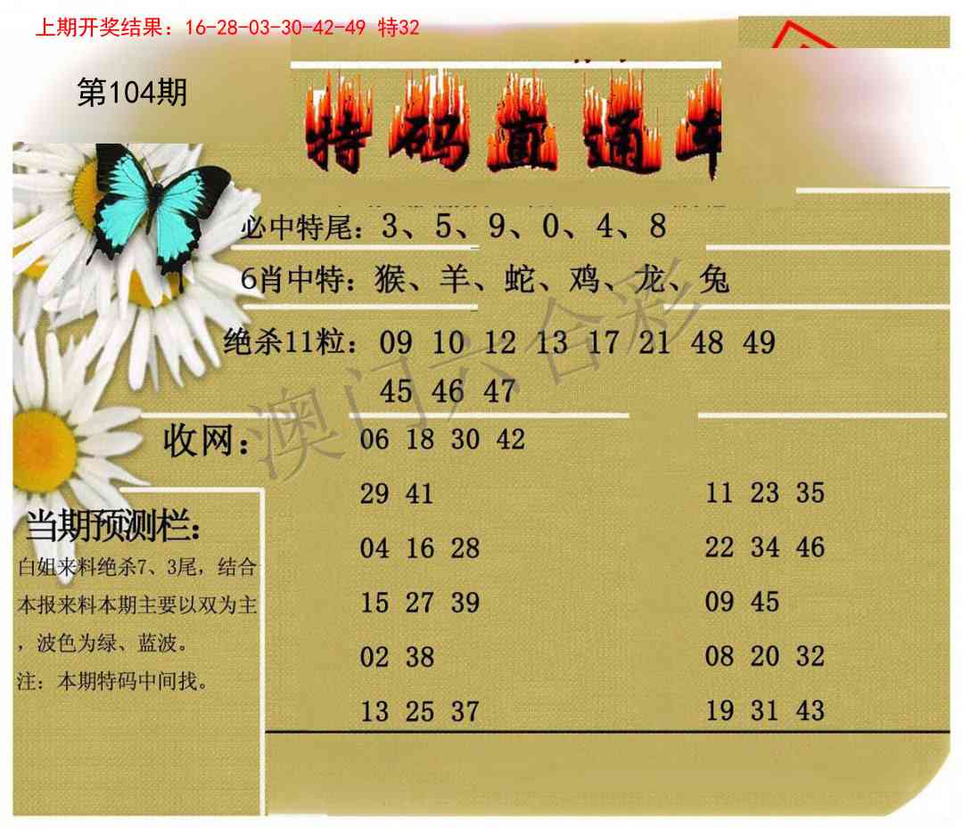2025104期特码直通车