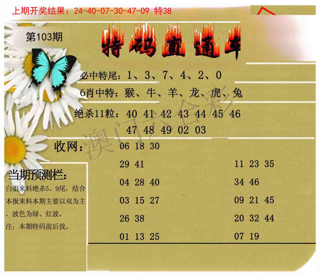 2025103期特码直通车